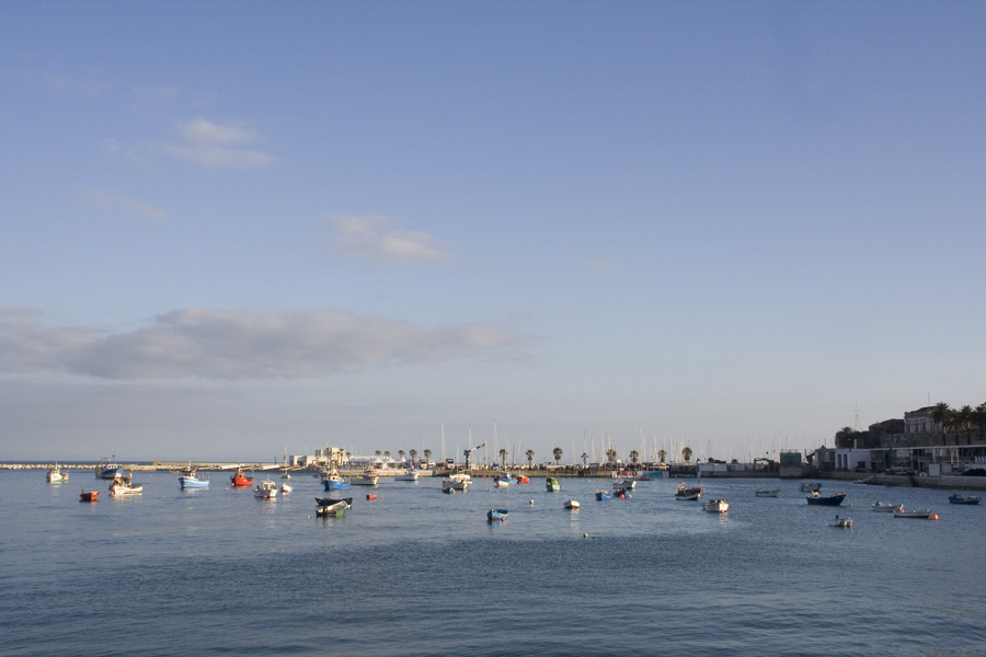 boats