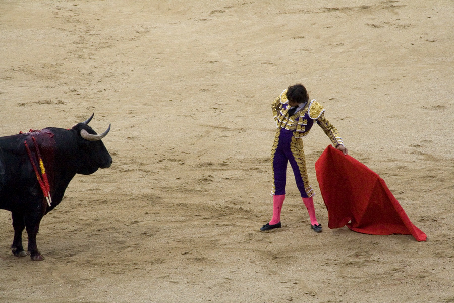 bullfighter2